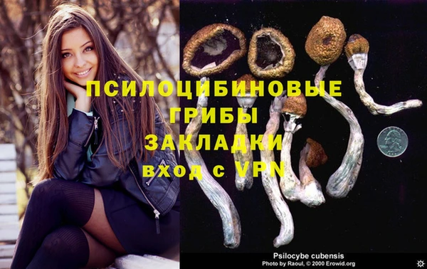 ALPHA-PVP Карпинск