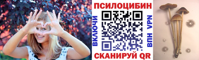 Купить закладки  Саки  Псилоцибиновые грибы прущие грибы 